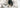 jessica-johnston-bKfw76Q_9OI-unsplash-scaled