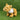 World Cup Dog Toy- Bulldog