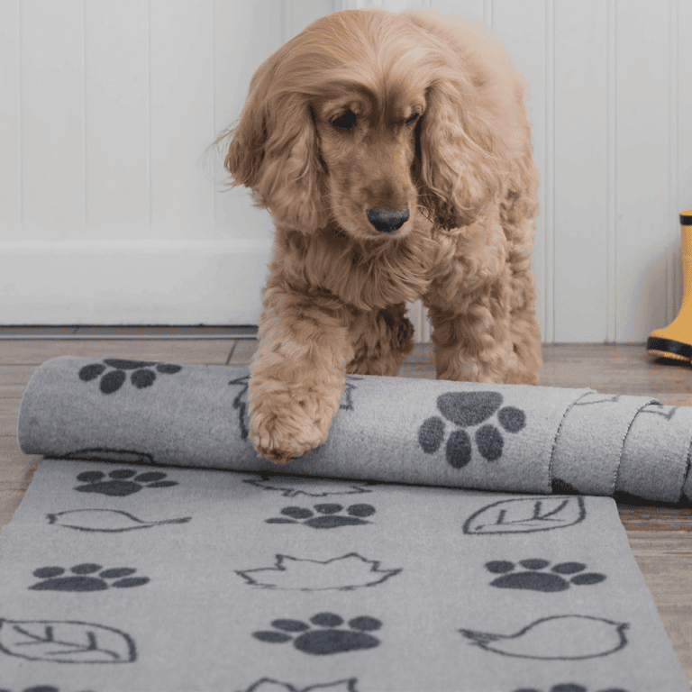 Stop Muddy Paws Pet Rebellion