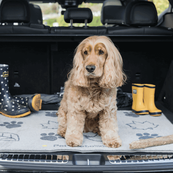 Car Seat Cover for Dogs Pet Rebellion Car Seat Carpet