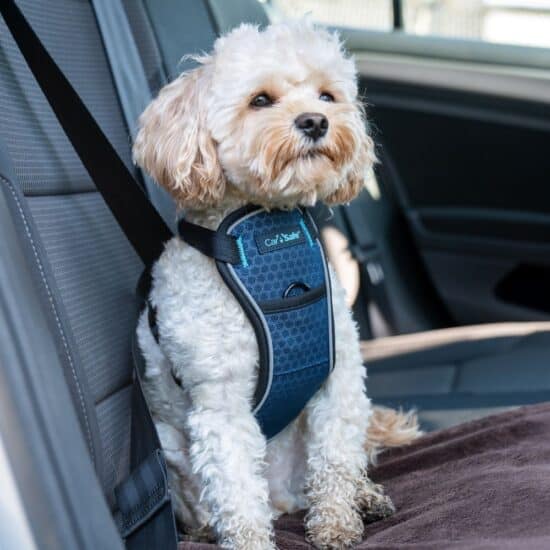 Crash Tested Harness For Dogs Pet Rebellion