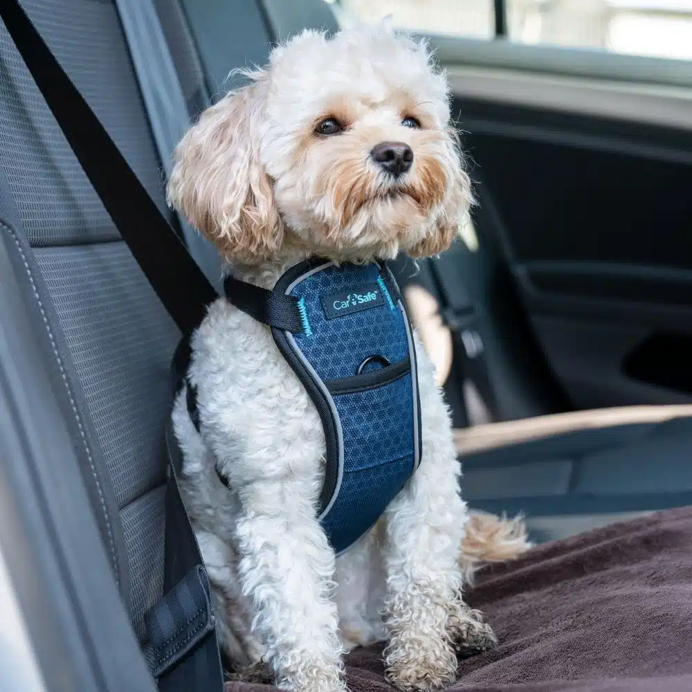 Crash-Tested Easy Rider Car Harness by Coastal Pet Products