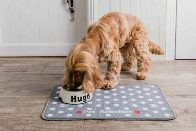 Dinner Mate Mat In Dotty Grey Pet Rebellion