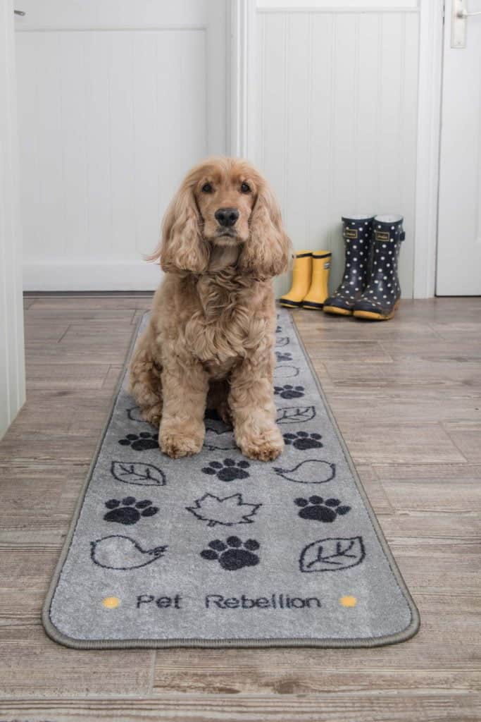 Dog Runner Country Walk Rug | Pet Rebellion