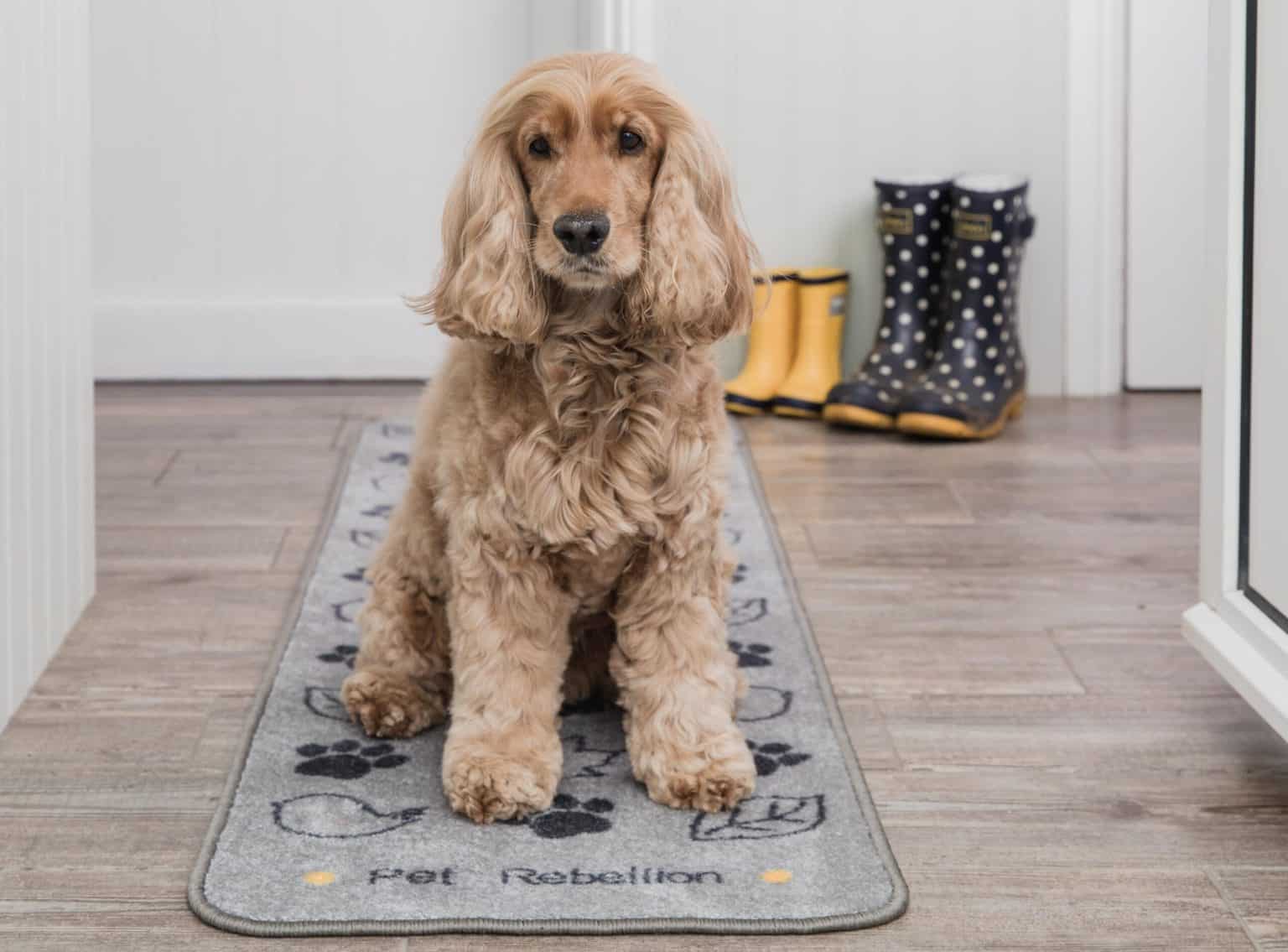 Dog Runner Country Walk Rug | Pet Rebellion