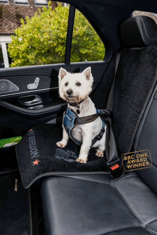 Car Seat Cover for Dogs Pet Rebellion Car Seat Carpet
