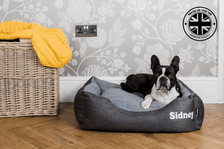 Small Premium Personalised Dog Beds Pet Rebellion