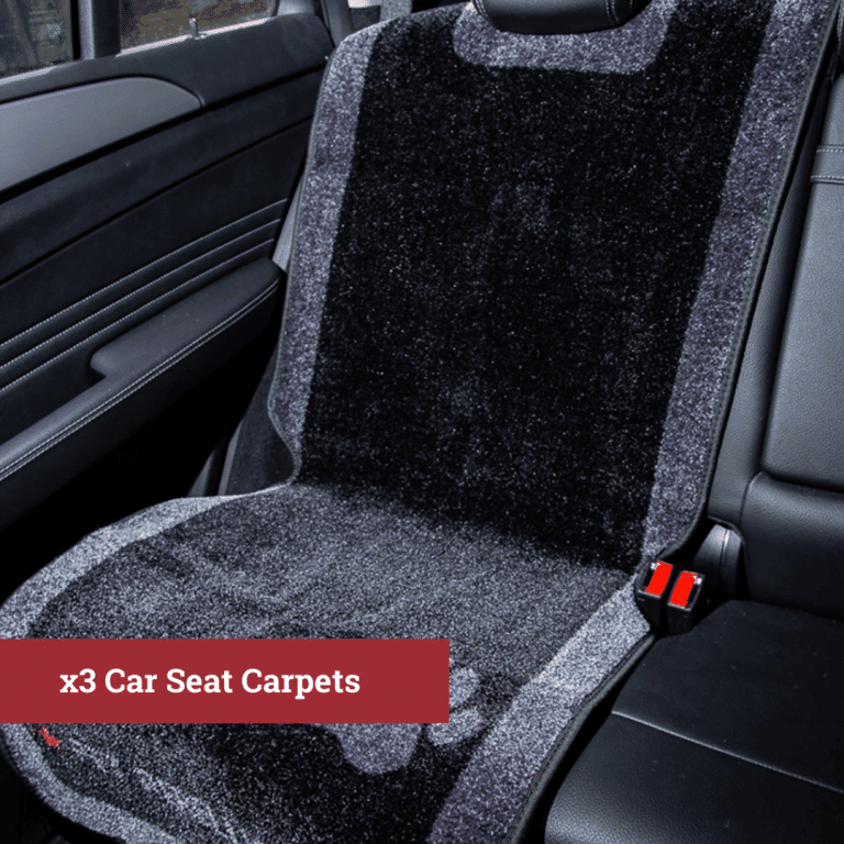 Car Protection Pet Rebellion