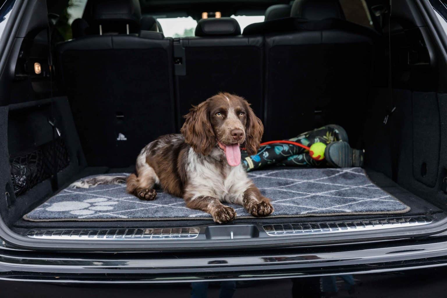 Car Seat Cover for Dogs Pet Rebellion Car Seat Carpet