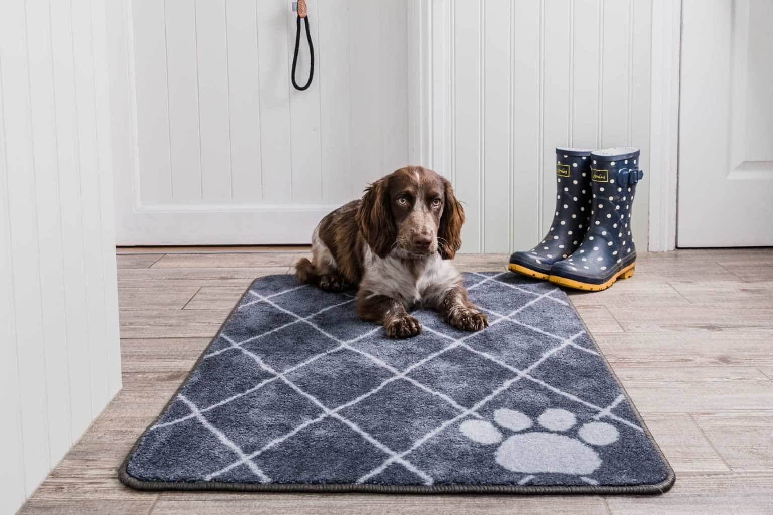 Stop Muddy Paws Large Trellis Pet Rebellion