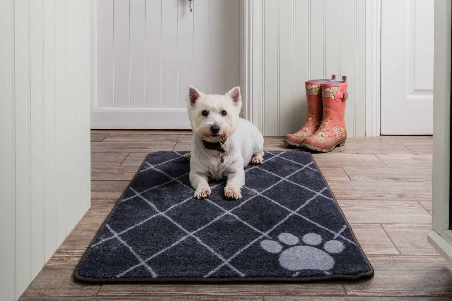 Trellis Stop Muddy Paws Barrier Rug Large Pet Rebellion