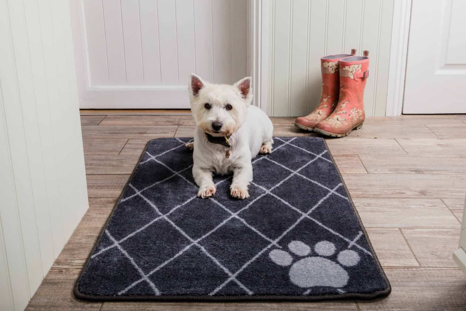 Trellis Stop Muddy Paws Barrier Rug Large Pet Rebellion