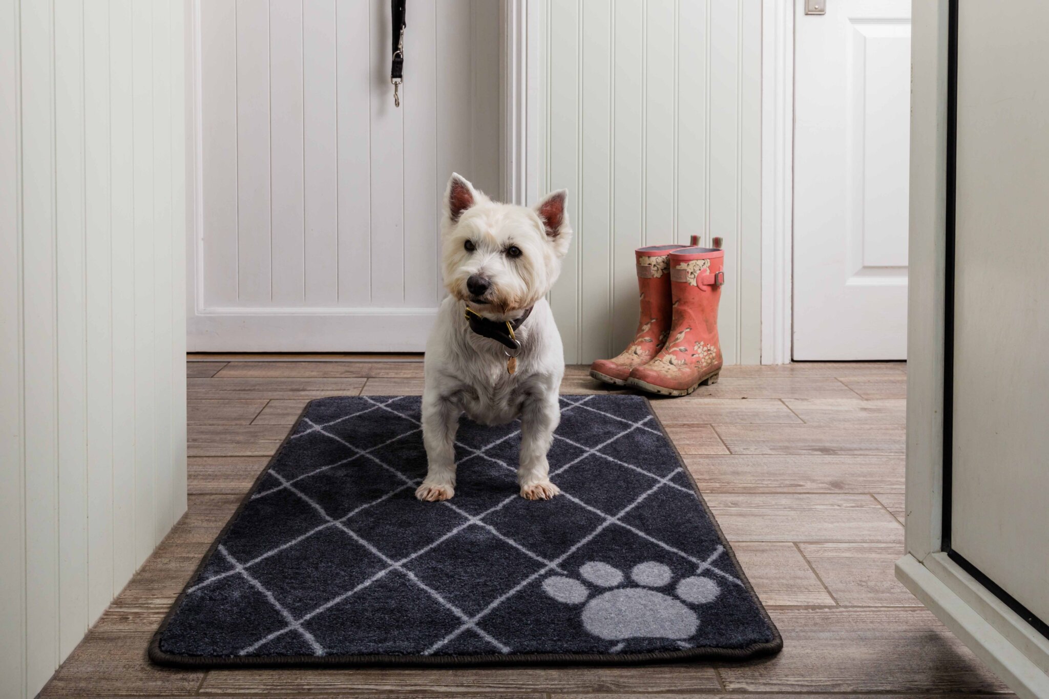 Trellis Stop Muddy Paws Barrier Rug Large Pet Rebellion