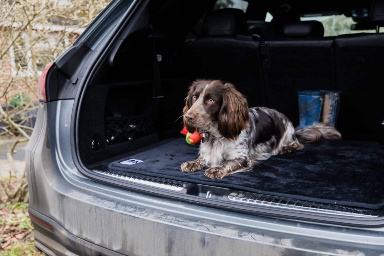 Car Seat Cover for Dogs Pet Rebellion Car Seat Carpet