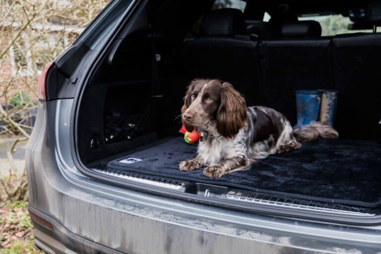 Car Seat Cover for Dogs Pet Rebellion Car Seat Carpet