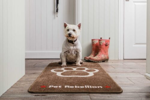 Door mat and floor mat STOP THOSE MUDDY PAWS dog runner from  www.blissandbloom.co.uk