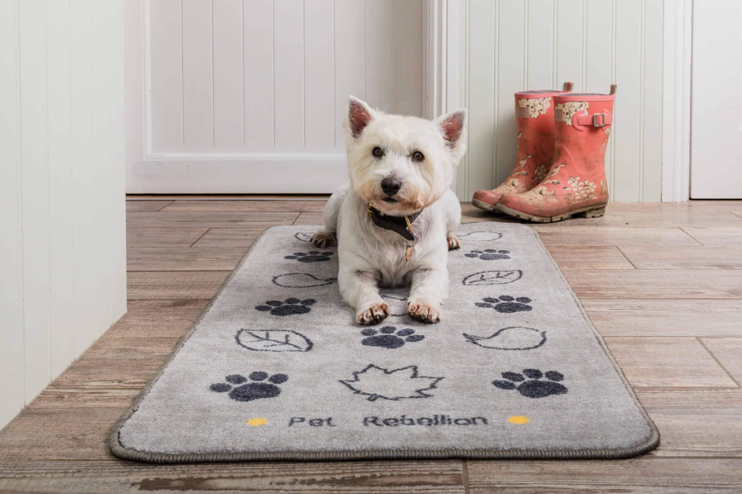 The 6 Best Doormats for Your Dog's Messy Paws
