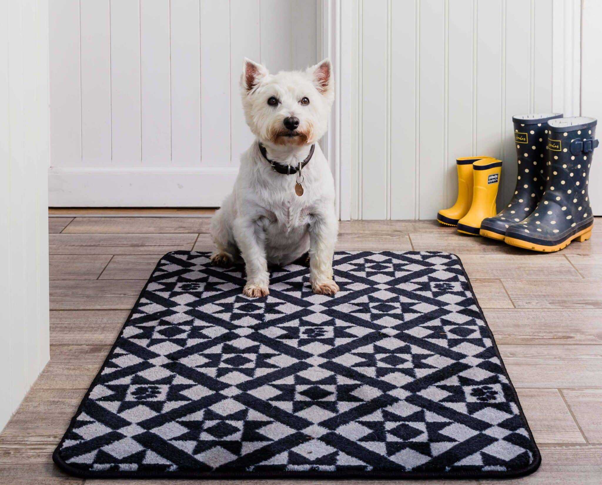 Stop Muddy Paws Victorian Tile Pet Rebellion