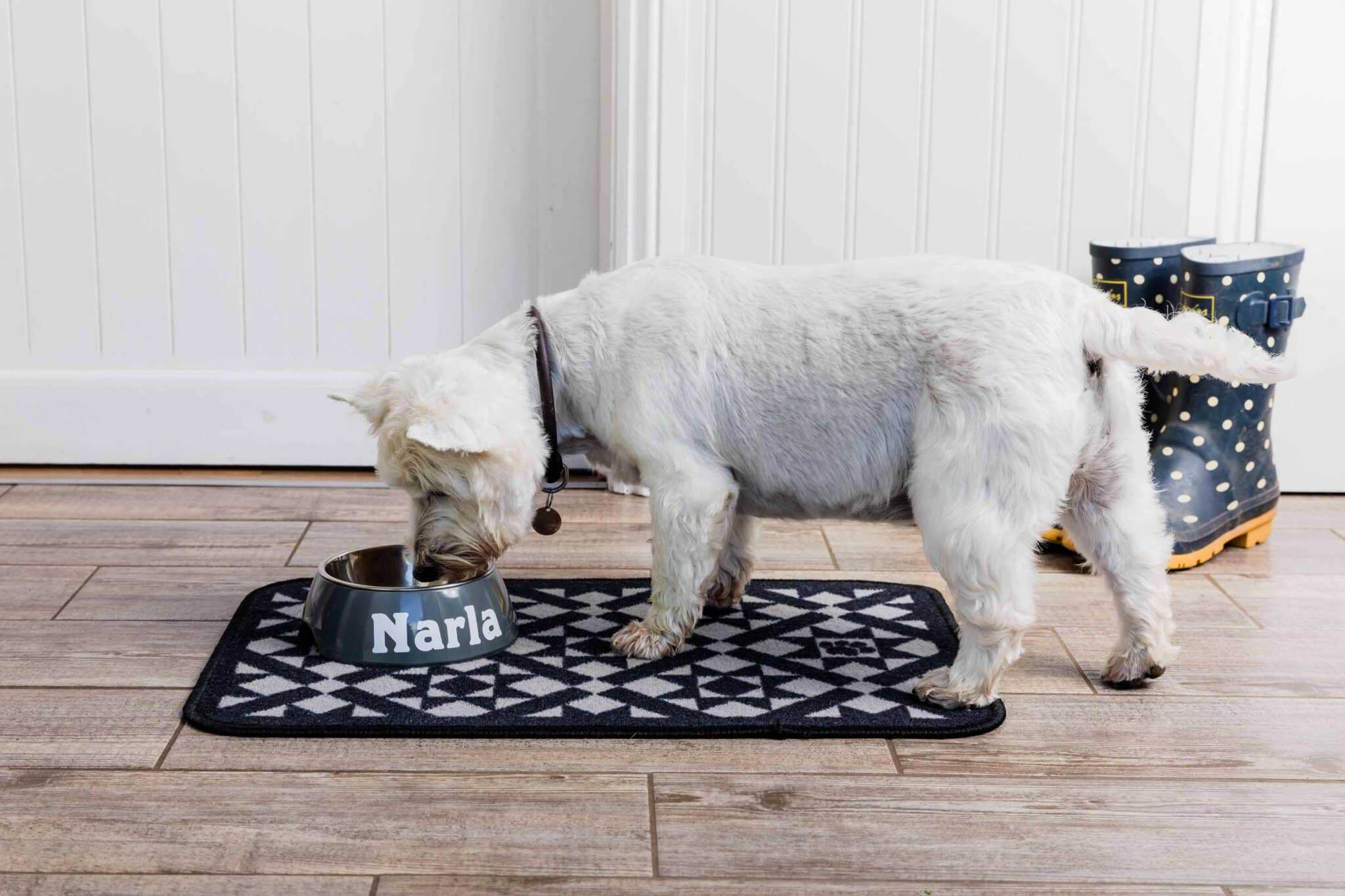 Dinner Mate Victorian Tile Pet Mat Pet Rebellion