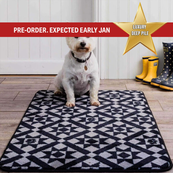 Stop Muddy Paws - Victorian Tile