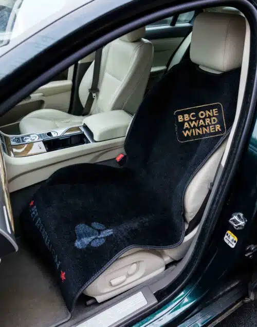 Car Seat Carpet - Adjustable Headrest