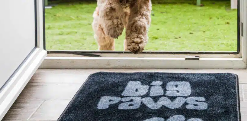 Extra Large Rugs