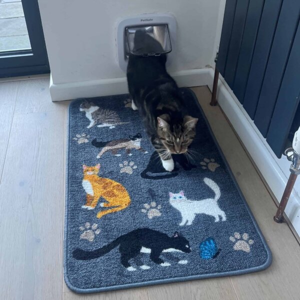 Multipurpose Cat Rug