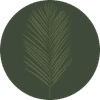 Product Icon