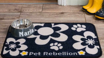 Absorbent Food Mats