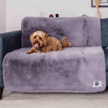 Sofa Protection
