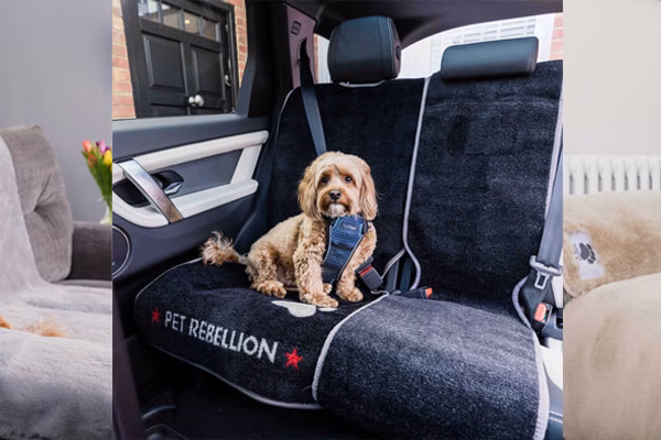 brown dog secured in the backseat of a car sitting on a car seat cover.