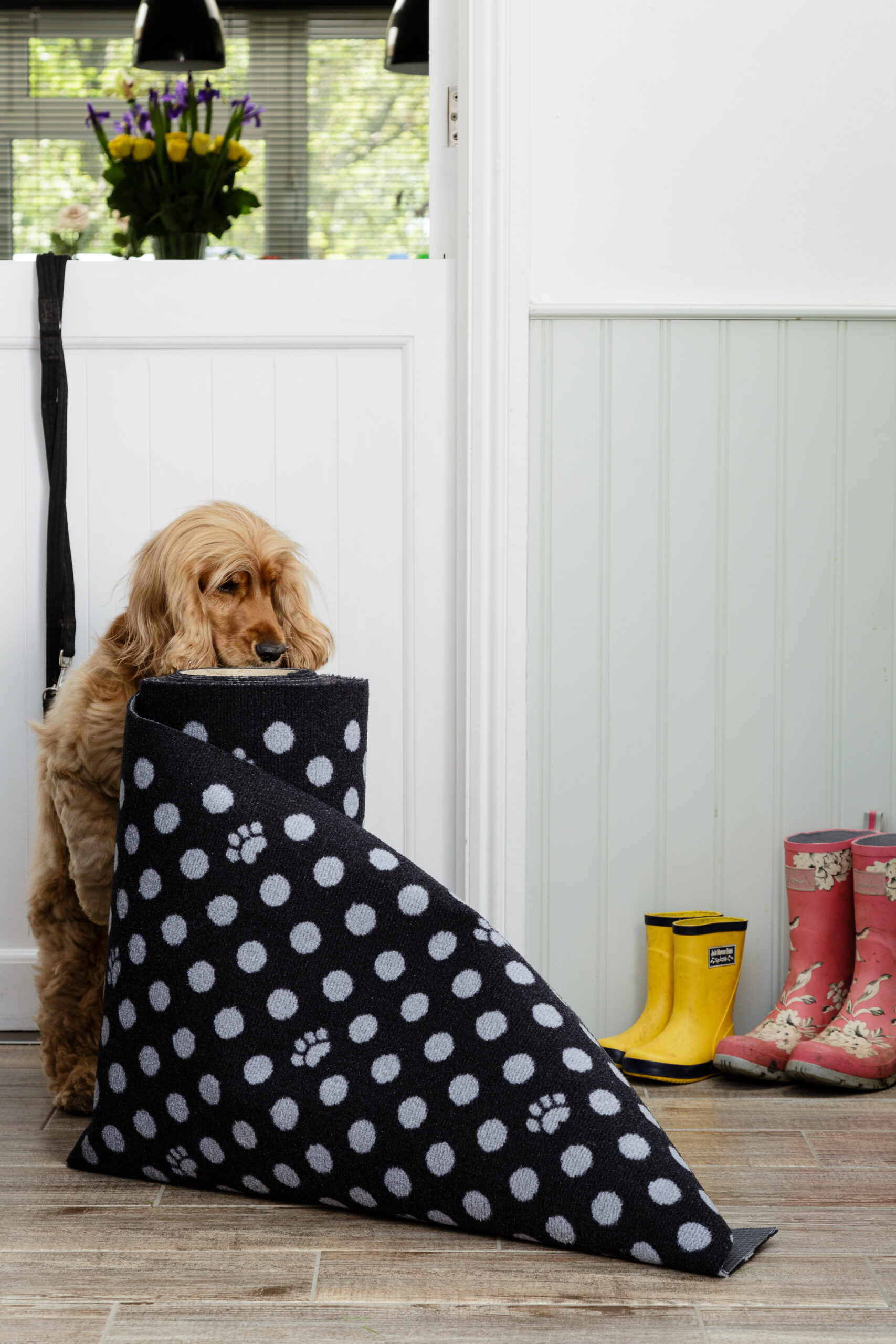 Imperfect- Stop Muddy Paws By The Metre - Image 2